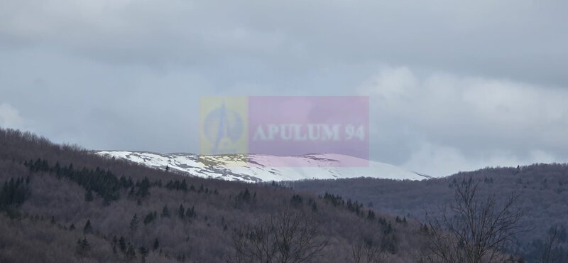 Teren intravilan 2200 mp de vanzare in Valea Doftanei