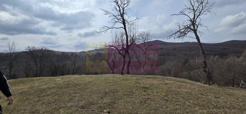 Teren intravilan 2200 mp de vanzare in Valea Doftanei