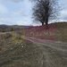 Teren intravilan 2200 mp de vanzare in Valea Doftanei